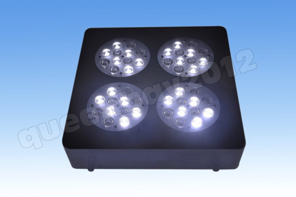 wholesale 5pcs 144wcree led