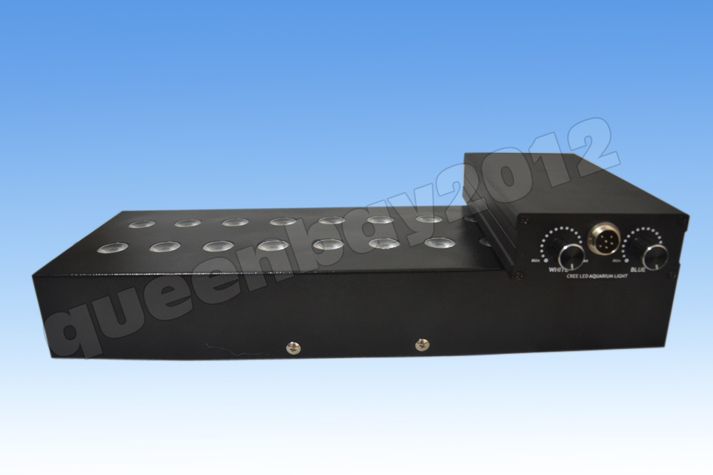 2014 new real cree